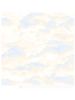 Studio E Fabrics POINT OF VIEW- SKY 8175-11  PER 1/2 METER