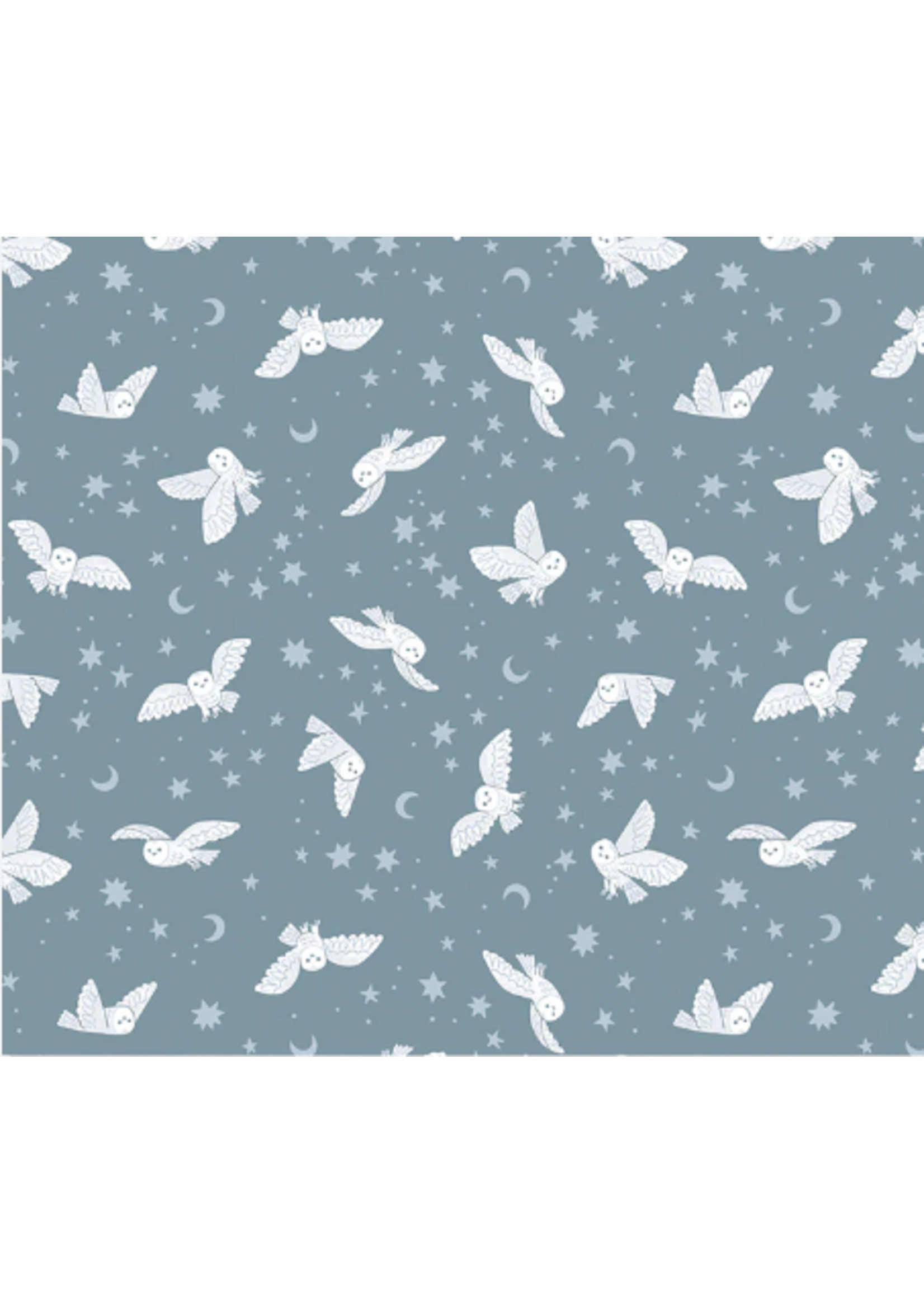 Riley Blake TWIGHLIGHT CREATURESNIGHT OWLS STORM