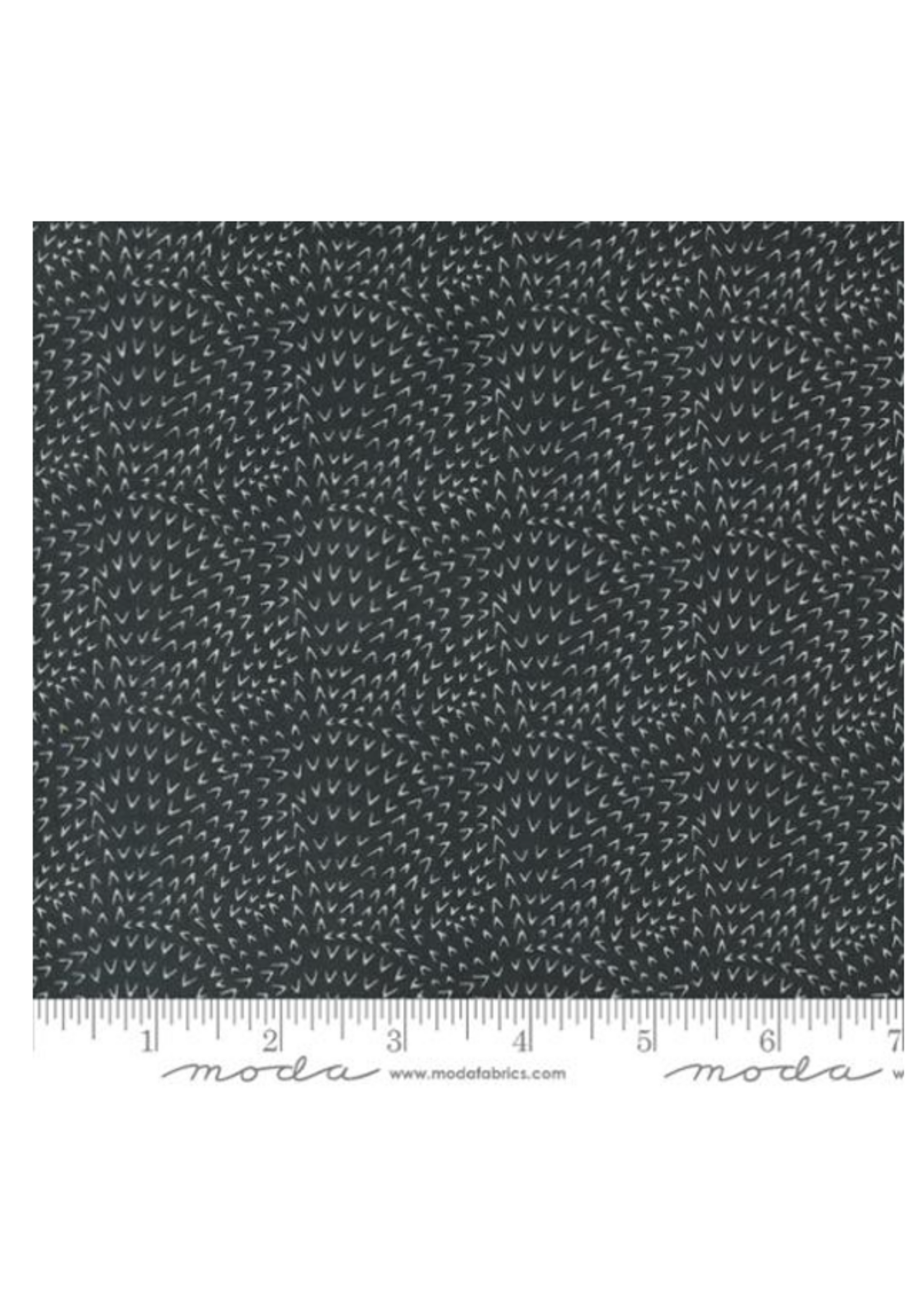 Moda WOODLAND  WONDERS