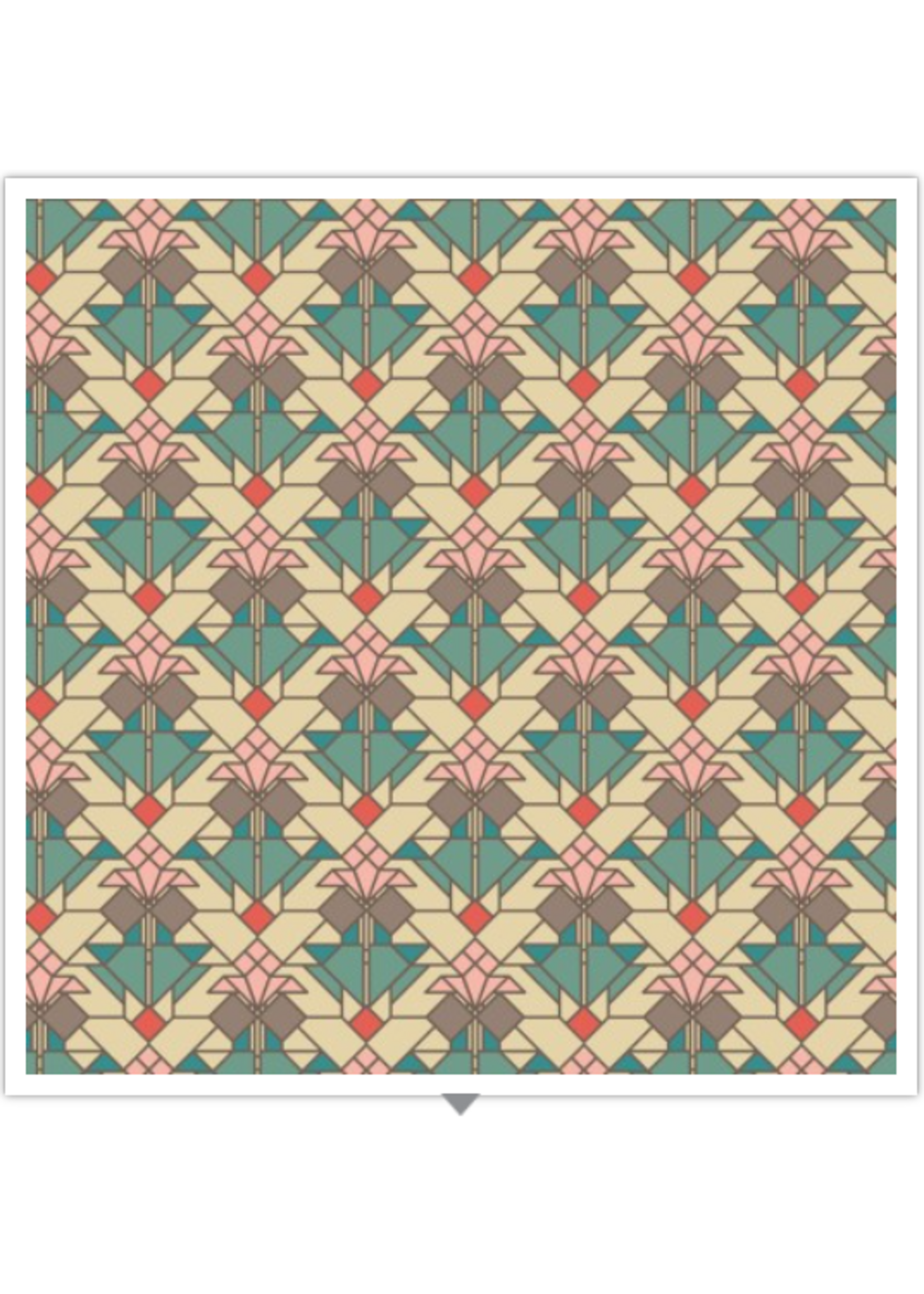 Cloud 9 Coonley Tulip Organic