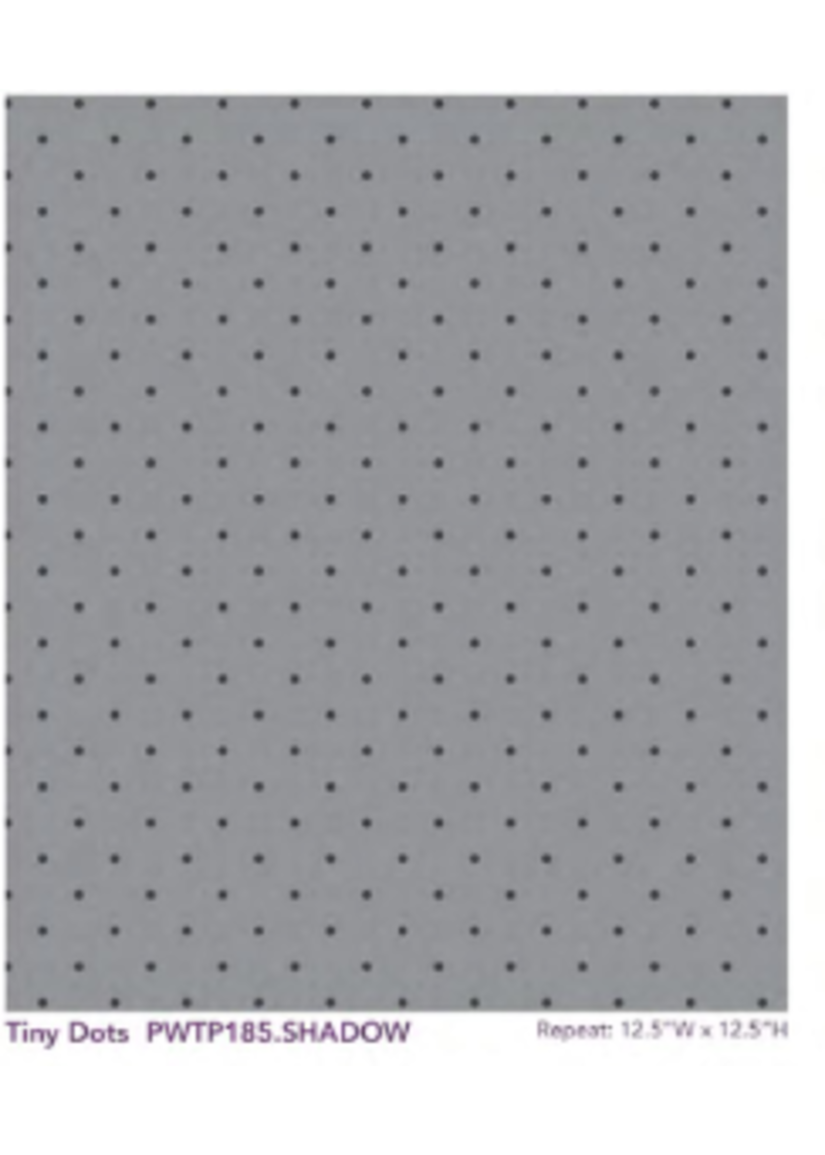 Tula Pink Pre Sale Tula Pink  Tiny Dots Shadow  per 1/2 meter