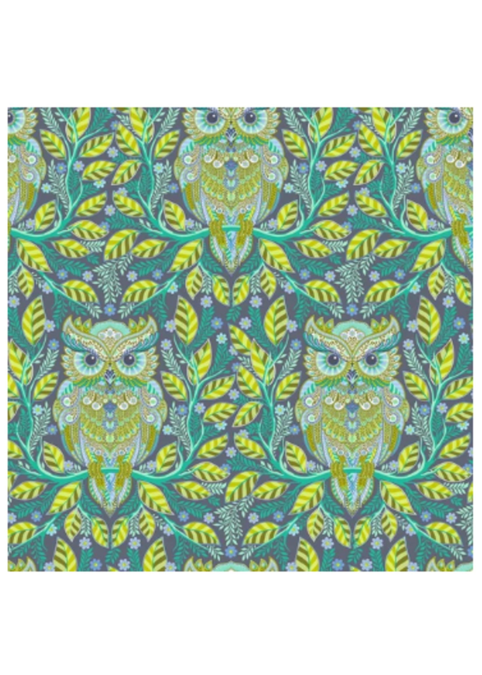 Full Moon Forest II  Hootie Patootie