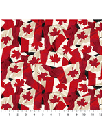 Canadian Classic 3- black multi