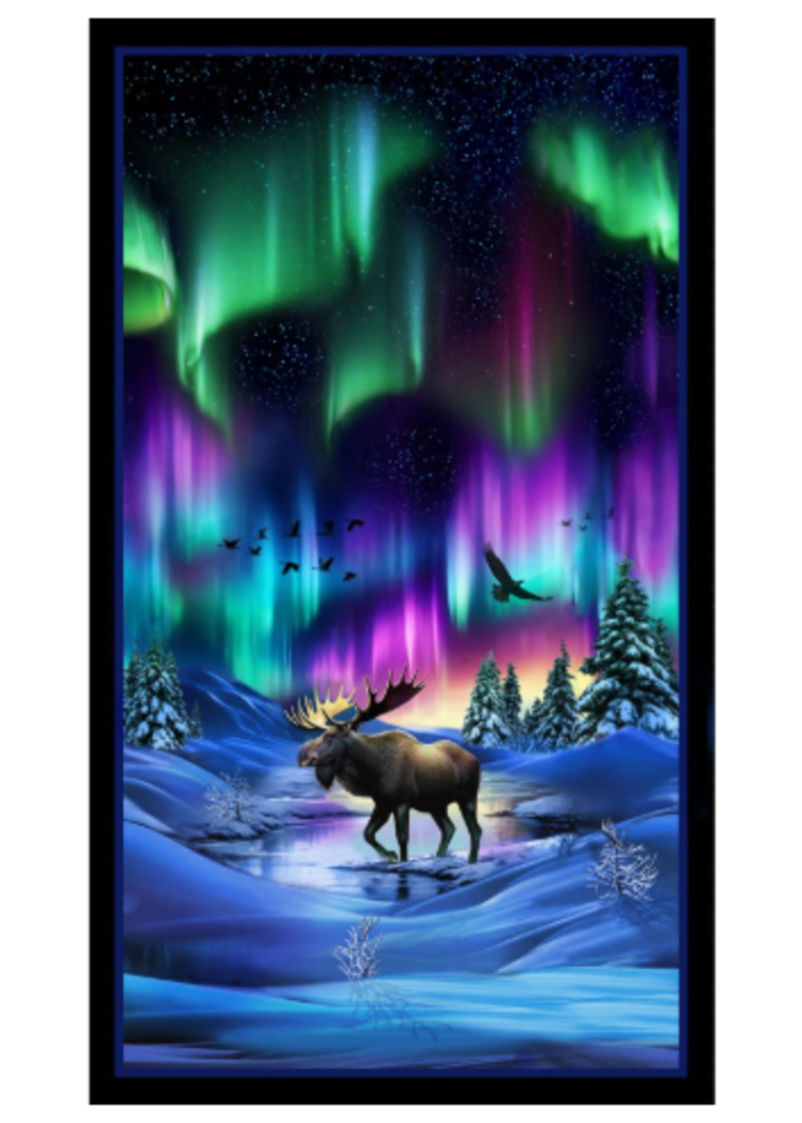 Elizabeths Studio Aurora Black Panel  22 x 44