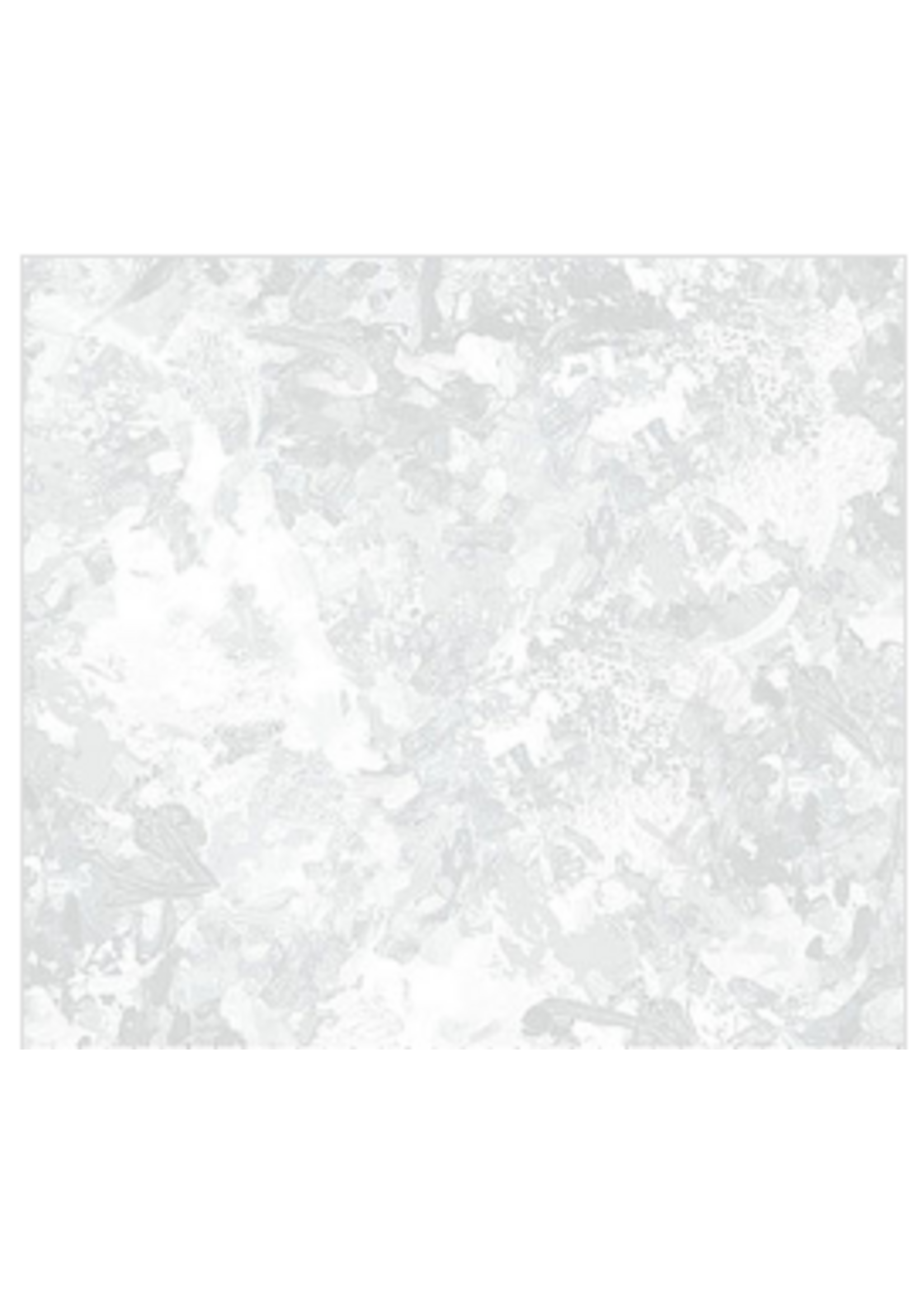 Northcott Chroma Wide Backing 108"   Frost   1 unit = 10cm = 4 Inches