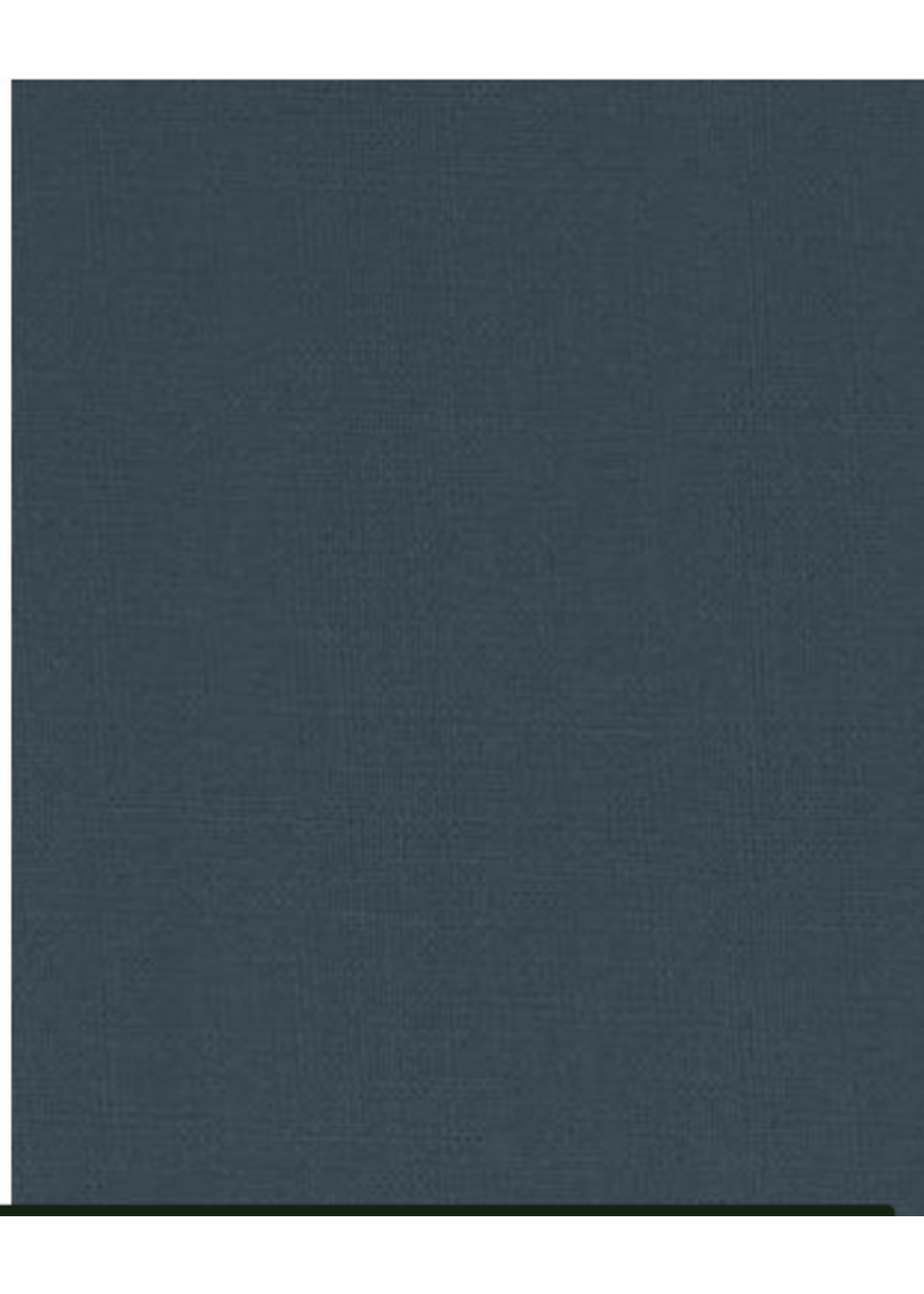 Bella Solids Bella Solids - Denim  1 unit = 10 cm = 4cm