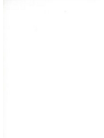 Bella Solids Bella Solids -bella solids  White Bleached  1 unit = 10 cm = 4cm