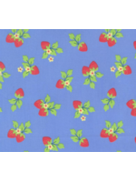 Moda Fruit Salad By Corey Yoder for Moda- Sky Per 10cm/4"
