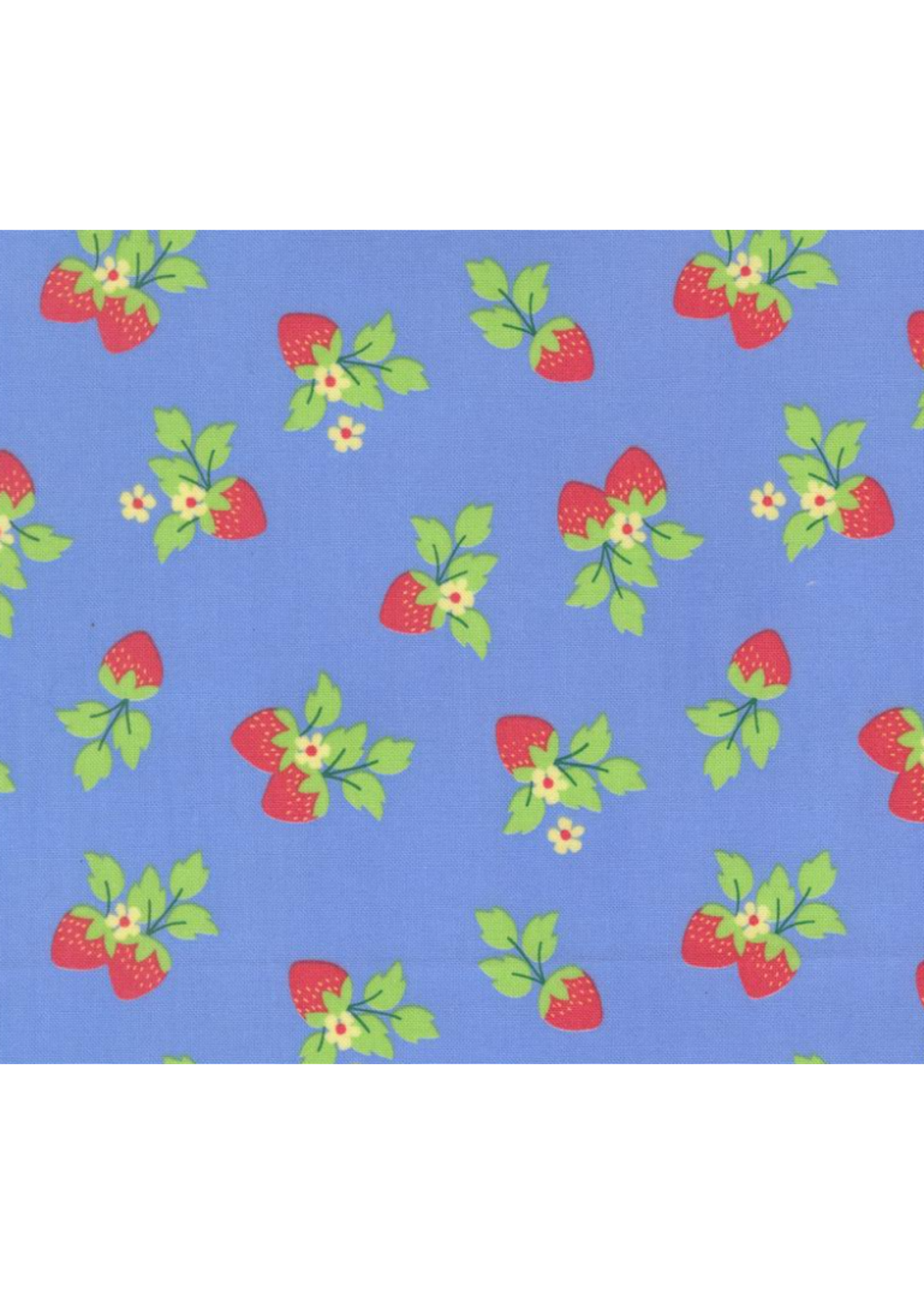 Moda Fruit Salad By Corey Yoder for Moda- Sky Per 10cm/4"