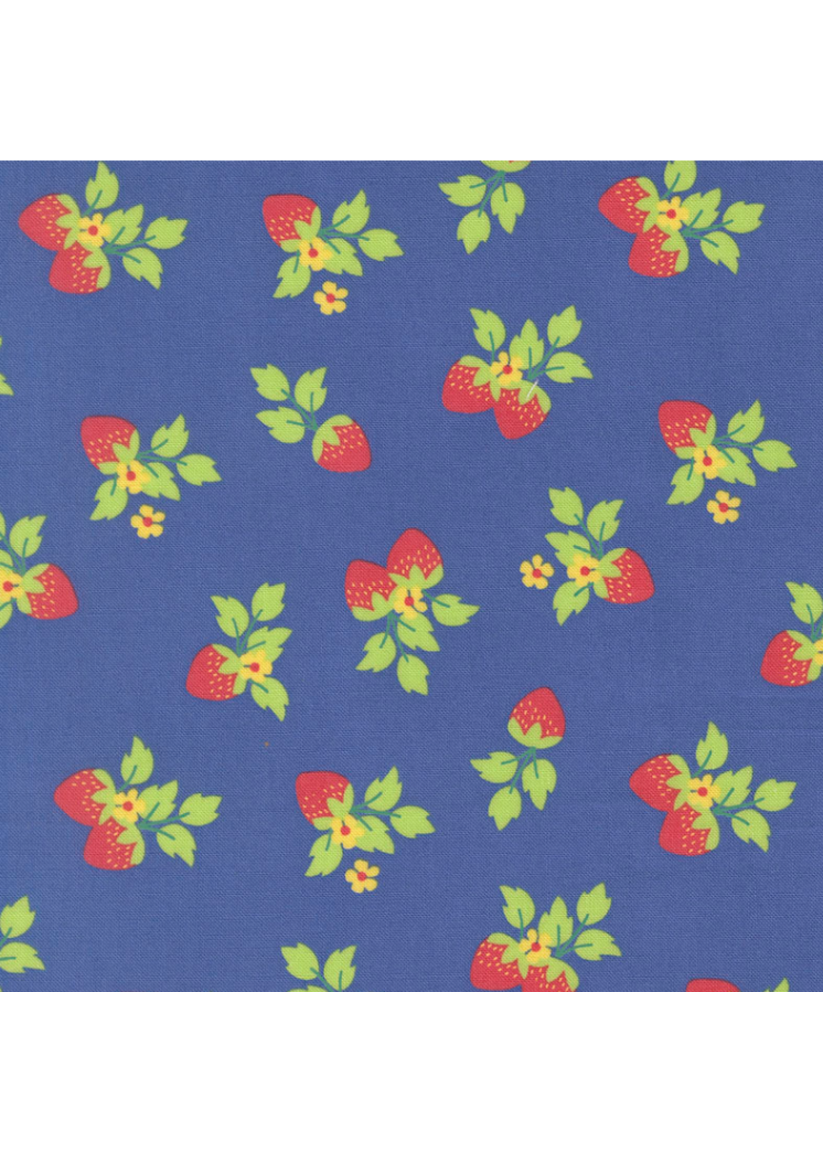 Moda Fruit Salad By Corey Yoder for Moda- Cobalt - per 10cm/4"
