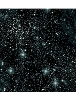 Benartex Magical Basics Black 1 unit = 10cm = 4 inches