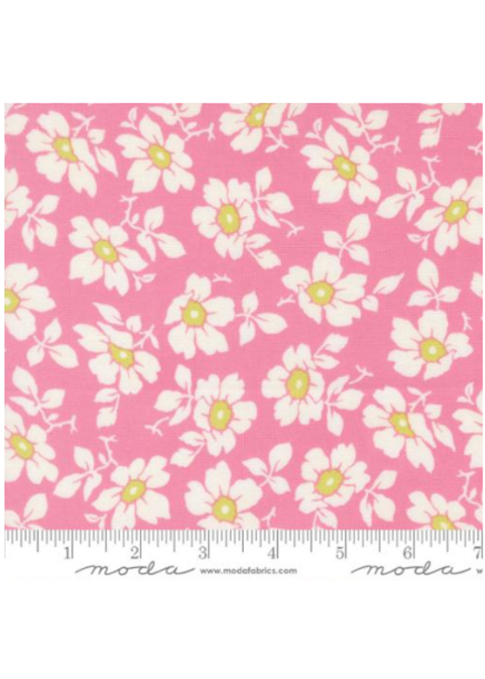 Summers End By Fig Tree & Co - Lilac  1 unit = 10 cm = 4 inches