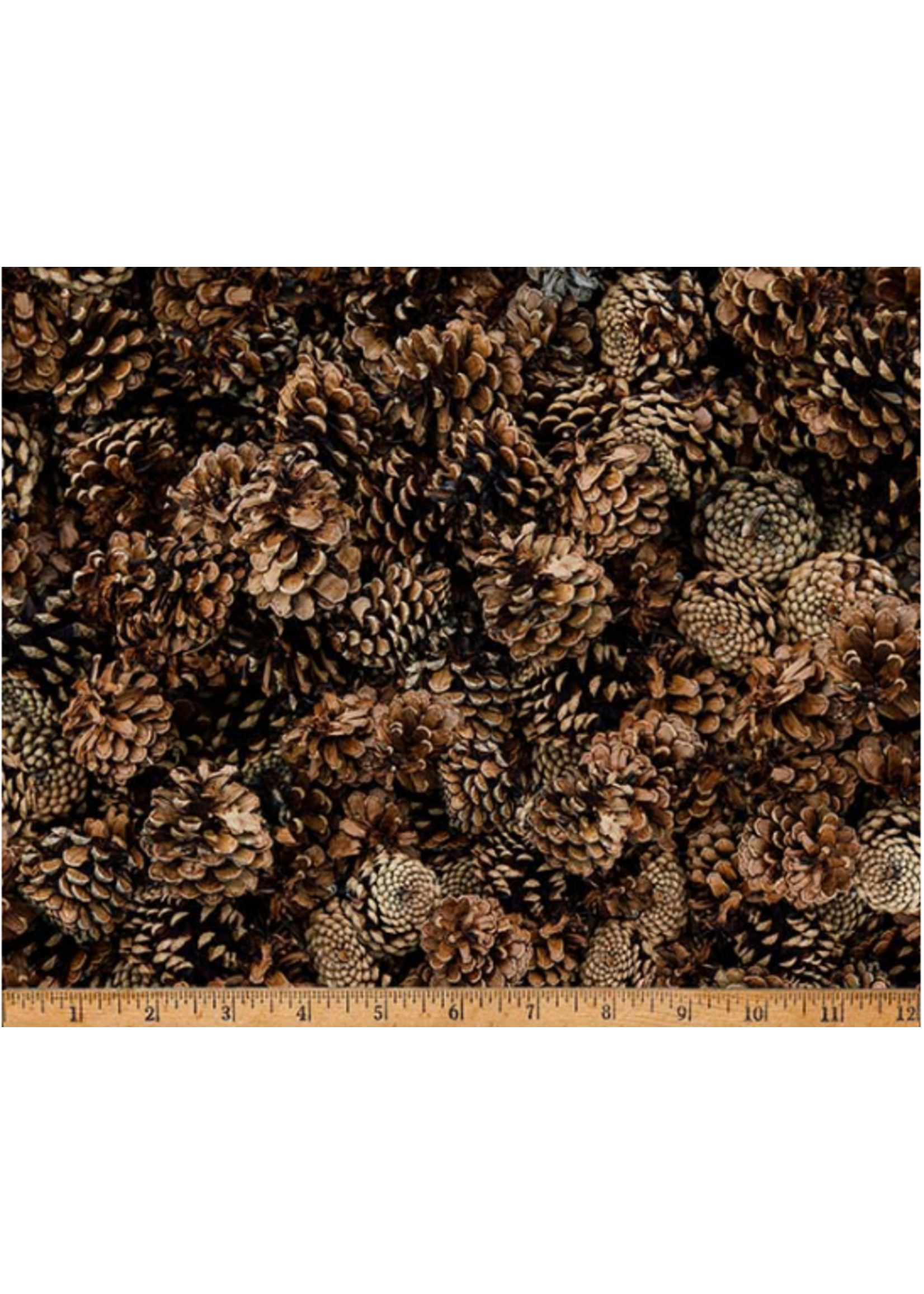 Trend Tex On the Path to Fall  Brown  1 unit = 10 cm = 4 inches