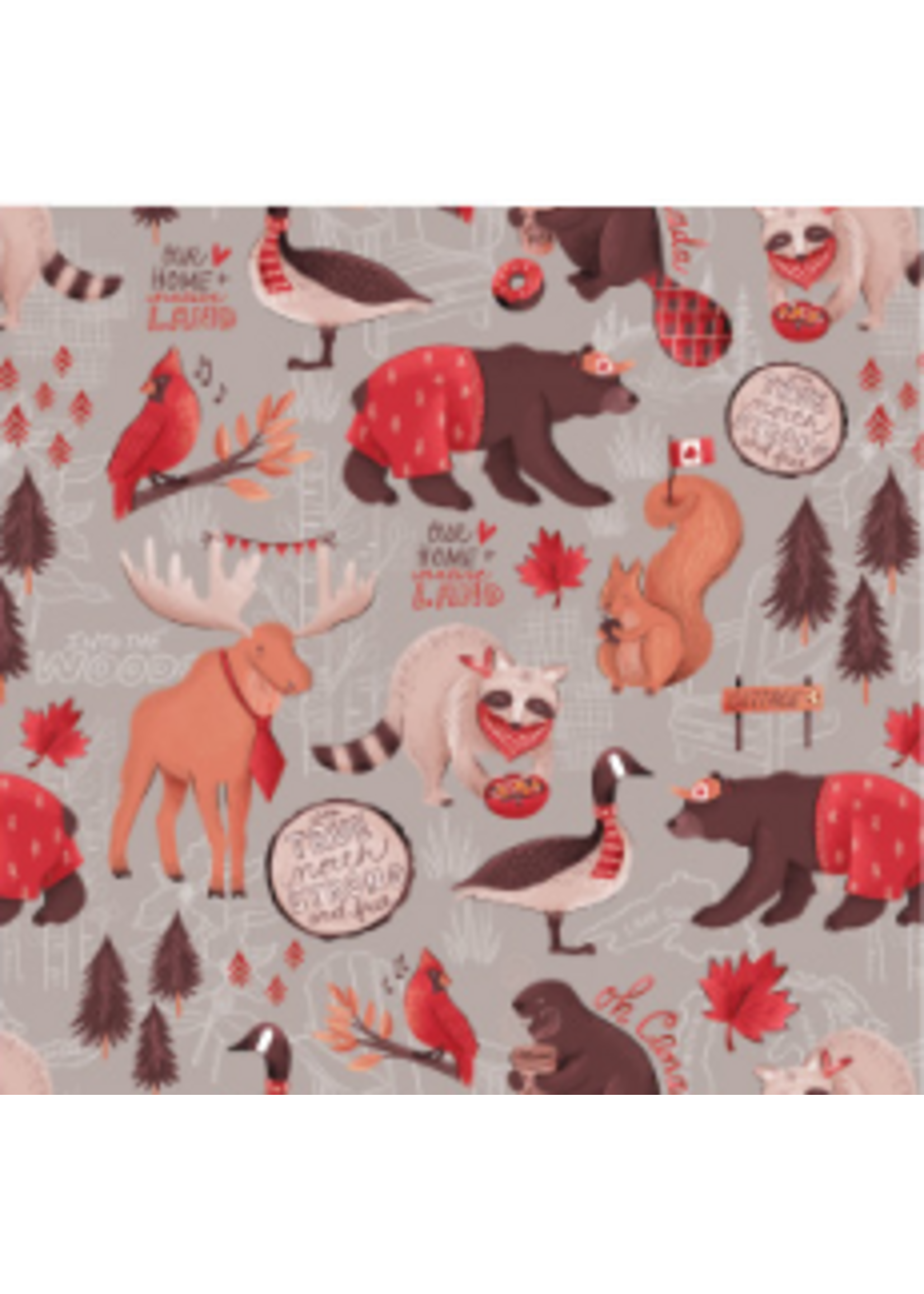 Camelot Fabrics Oh Canada Collection The True North  1 unit = 10 cm = 4 inches