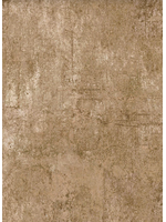 Trend Tex Trend Tex - Basics - Latte  1 unit = 10 cm = 4 inches