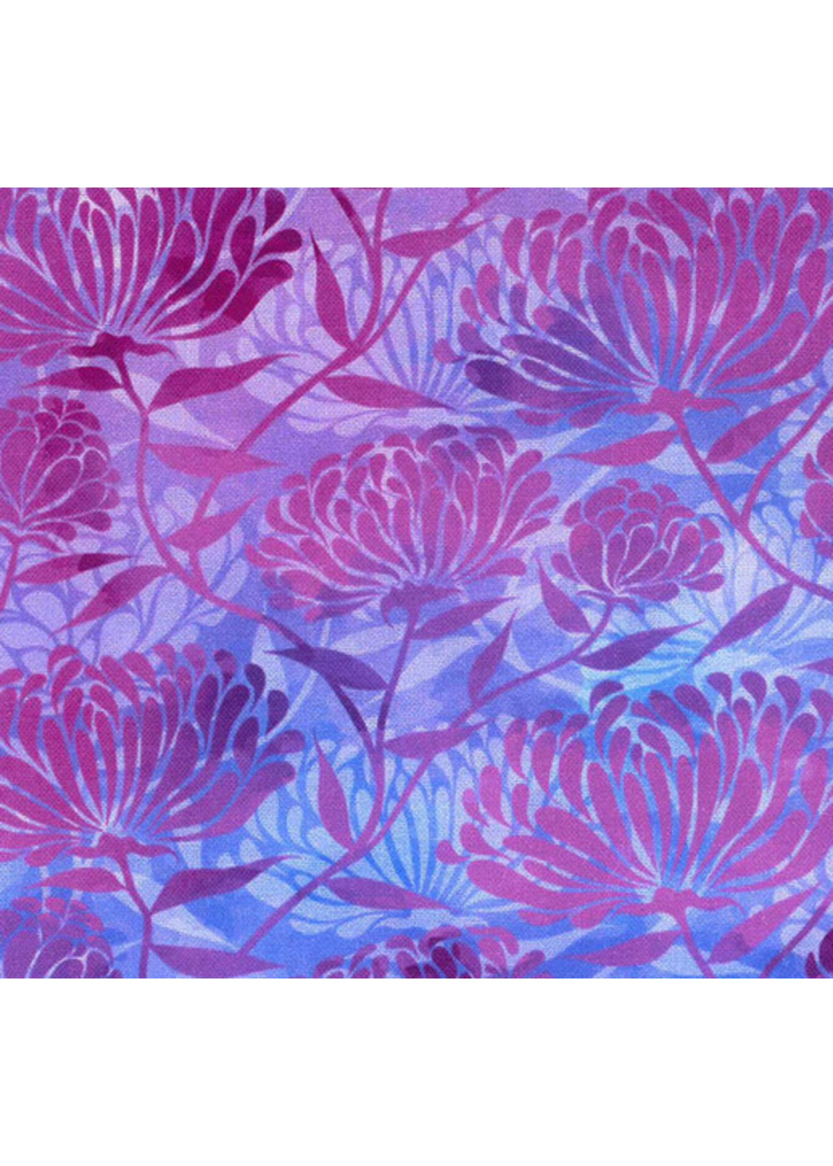 EE Schenk In the Beginning  Felicity Magenta  Digital Print  1 unit = 10cm = 4 inches