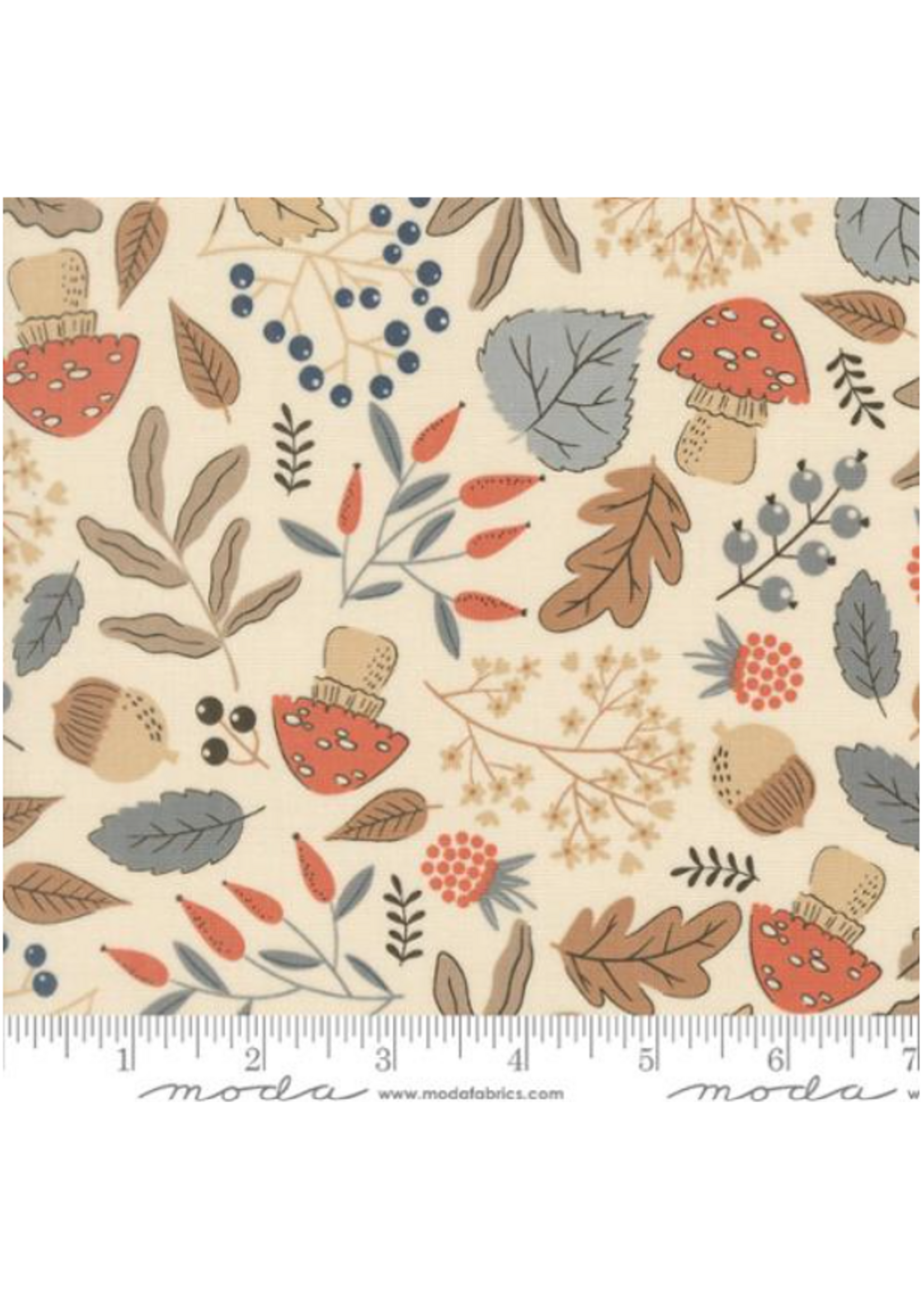 Moda Natures  Sketchbook By Elena Amo - Pearl  1 unit =10 cm = 4 inches