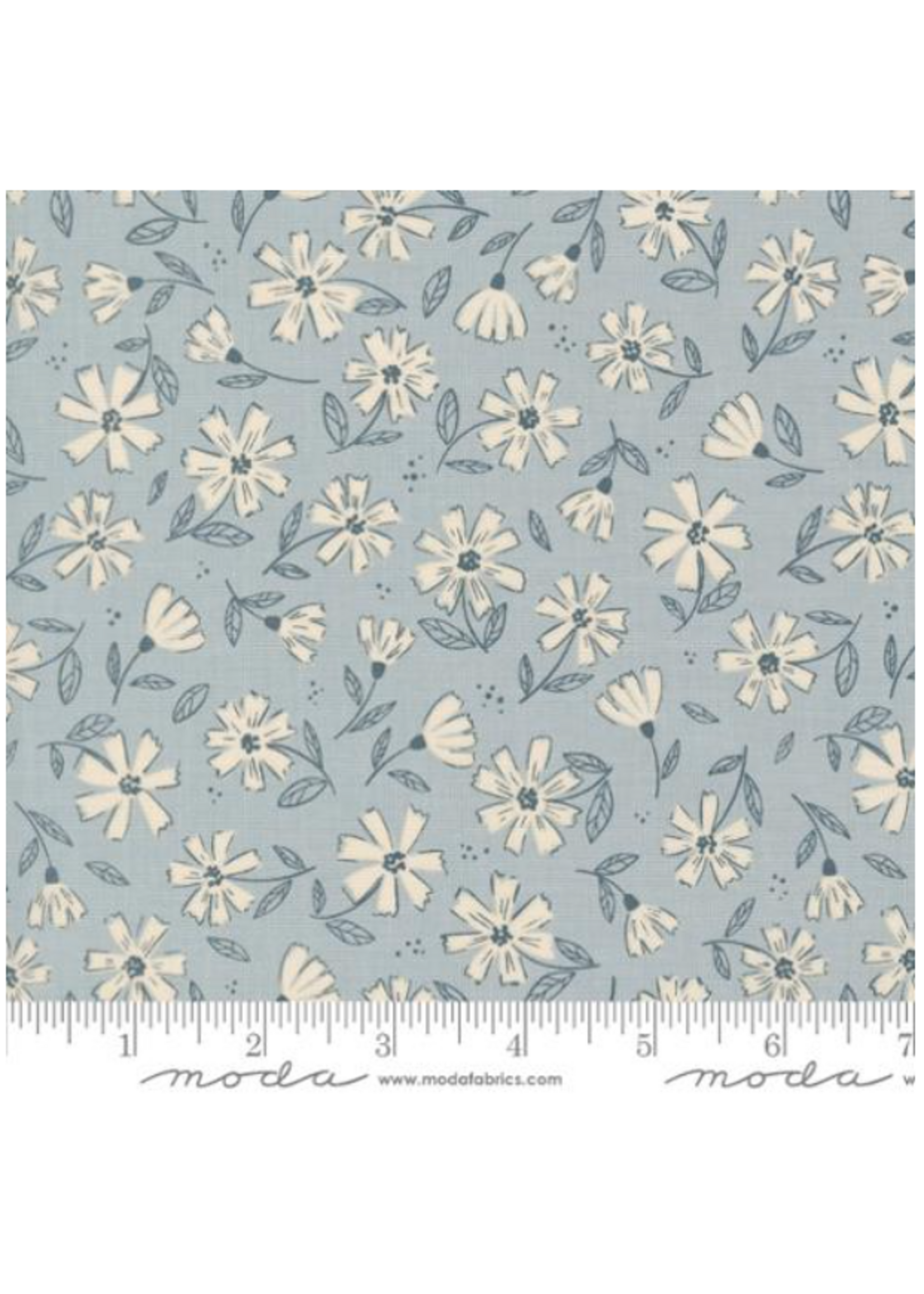 Moda Natures  Sketchbook By Elena Amo - Sky   1 unit =10 cm = 4 inches