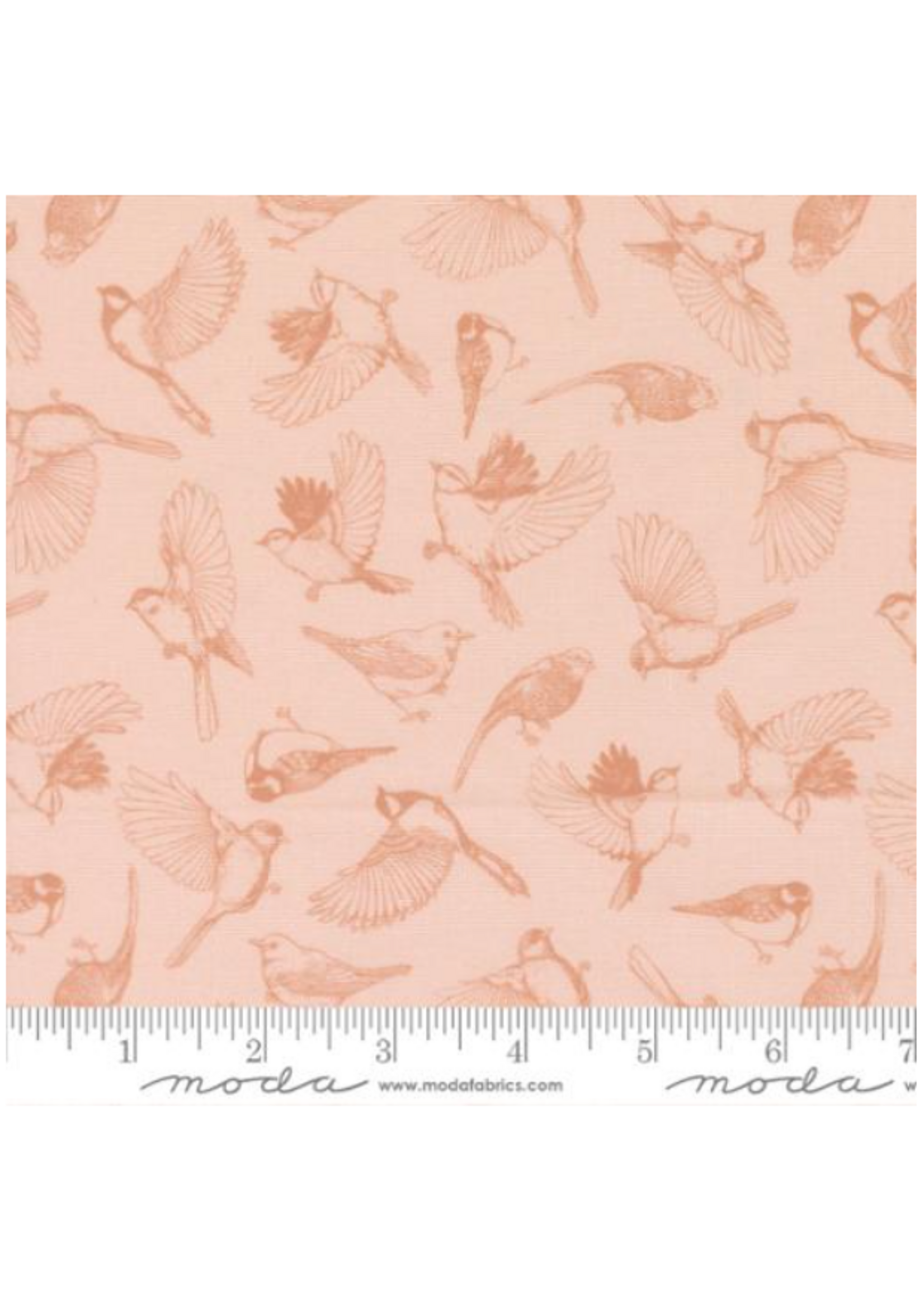 Moda Feather and Forest Bloom By Linn Warme - Petal  1 unit =10 cm = 4 inches