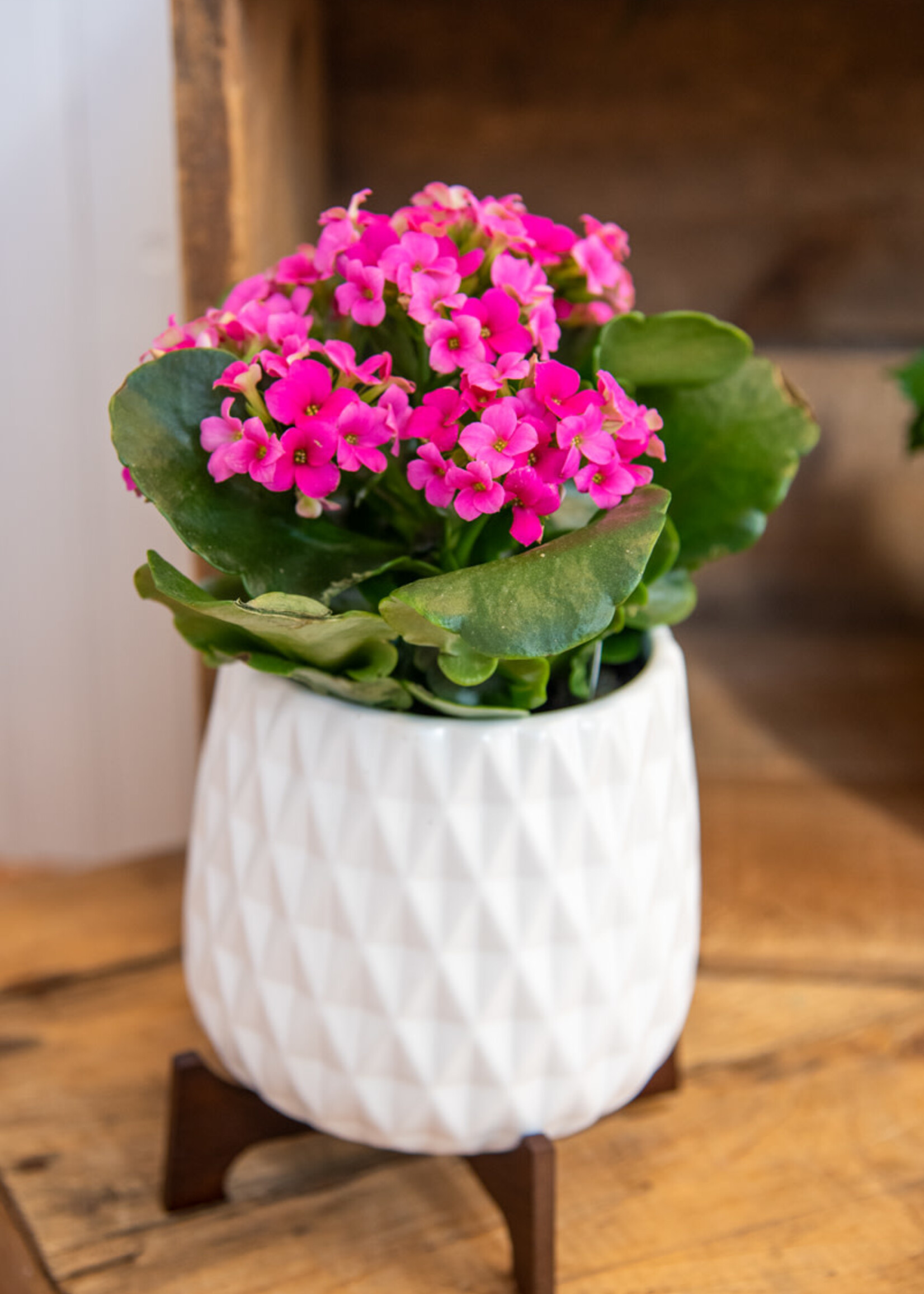 4'' Modern Planter