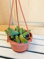 4'' String of Coins