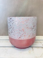 5.25'' Cosmo Pot
