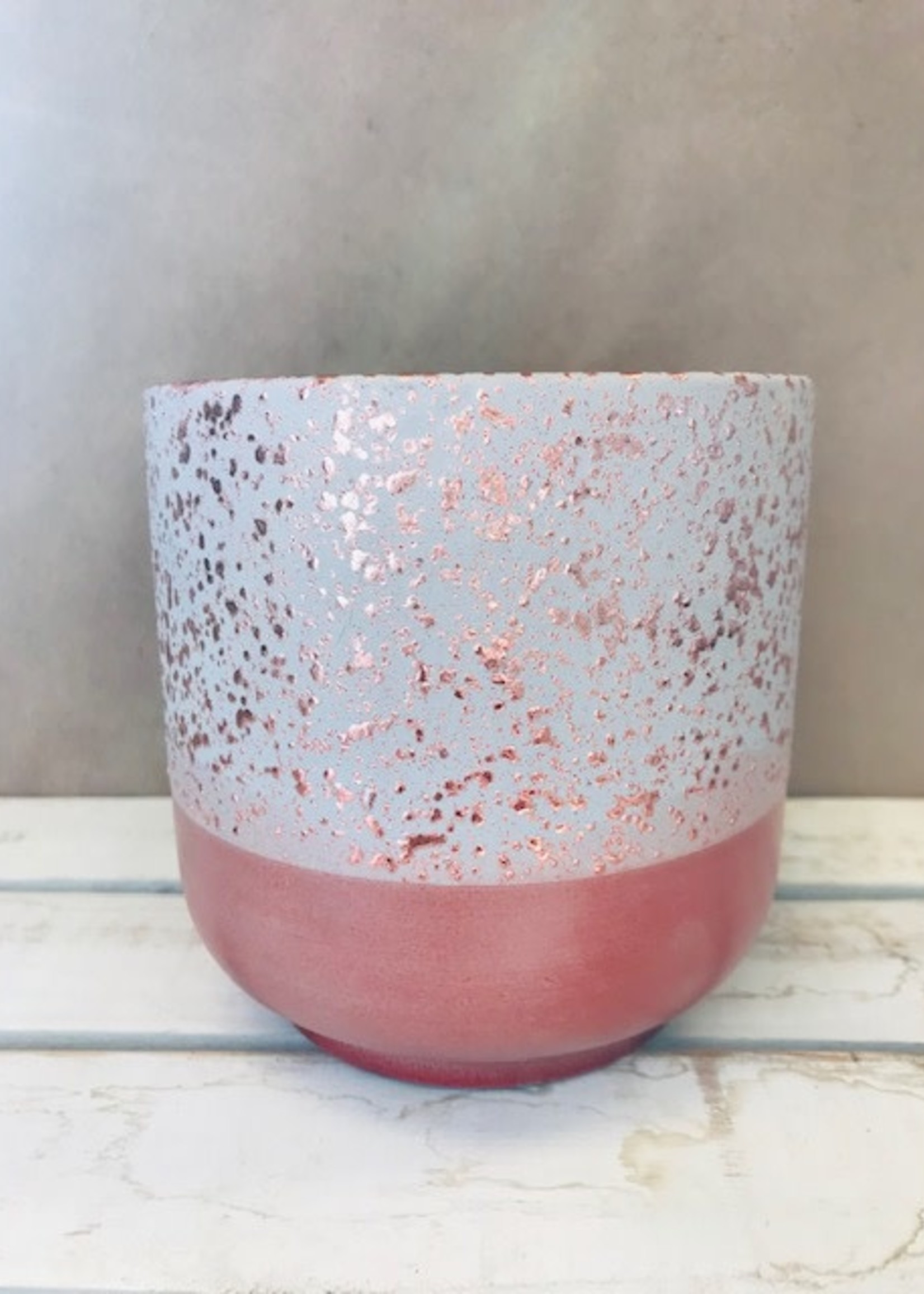 5.25'' Cosmo Pot