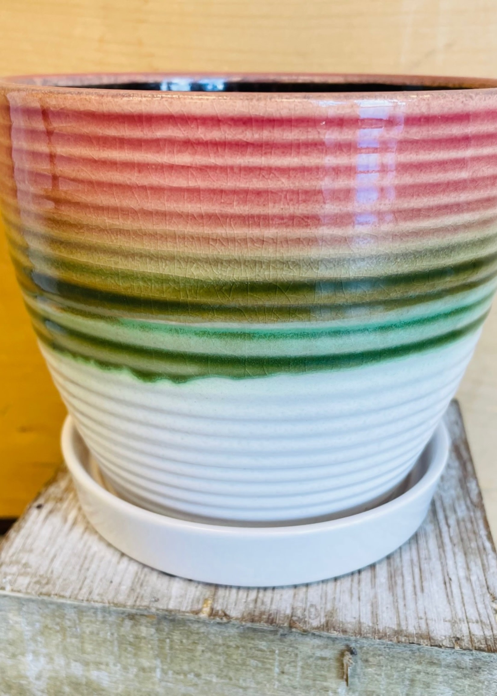 7.25'' Tri Color Planter with Saucer
