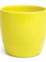 4.75'' Yellow Dolomite Pot