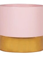 4.75'' Pink and Rose Gold Pot
