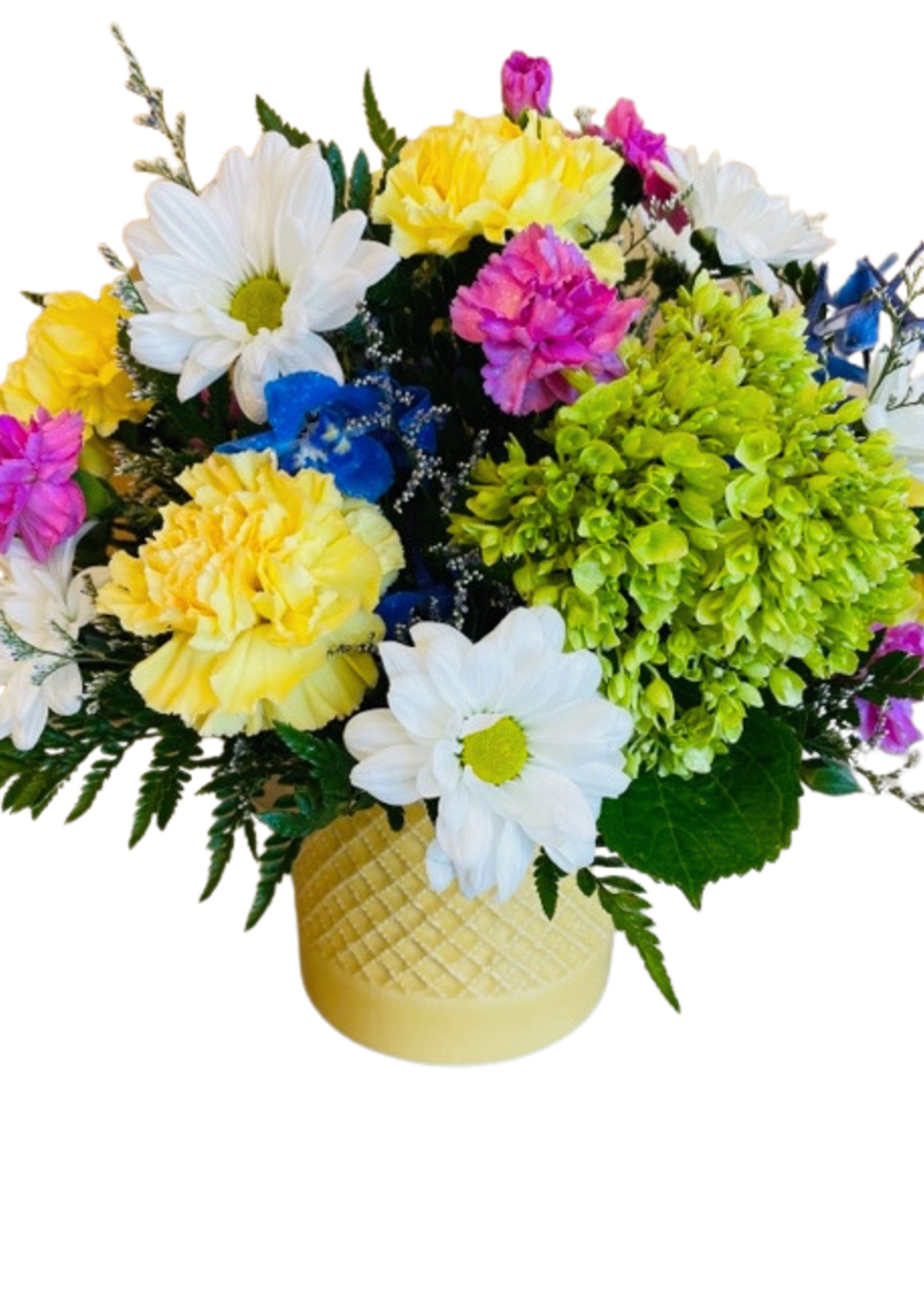 Sunshine and Daisies