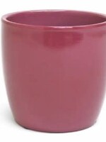 4.75'' Fushia Pot