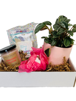 Birthday Gift Set
