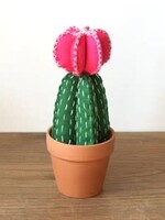 Moon Cactus Felt Hand Sewing Kit