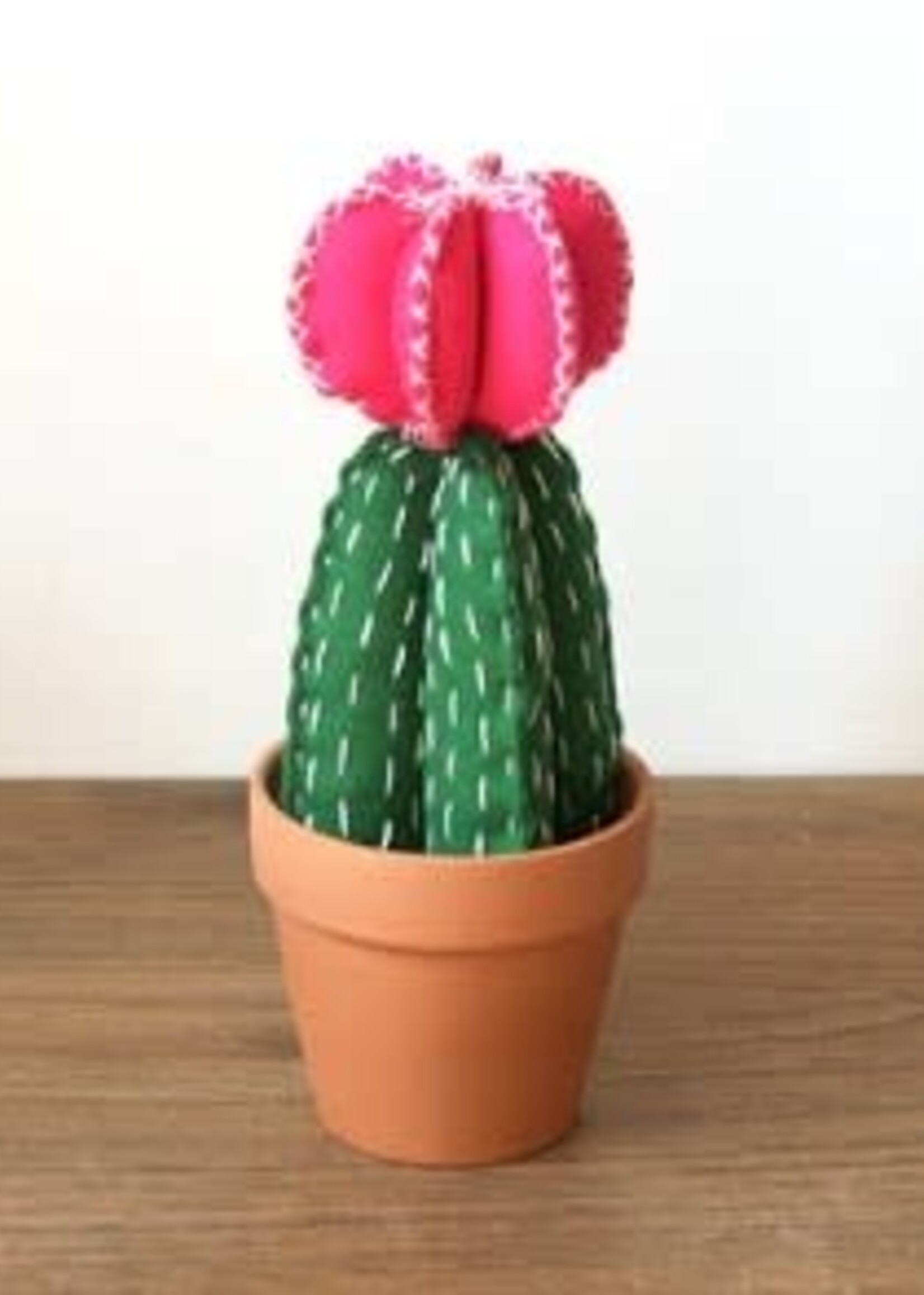 Moon Cactus Felt Hand Sewing Kit