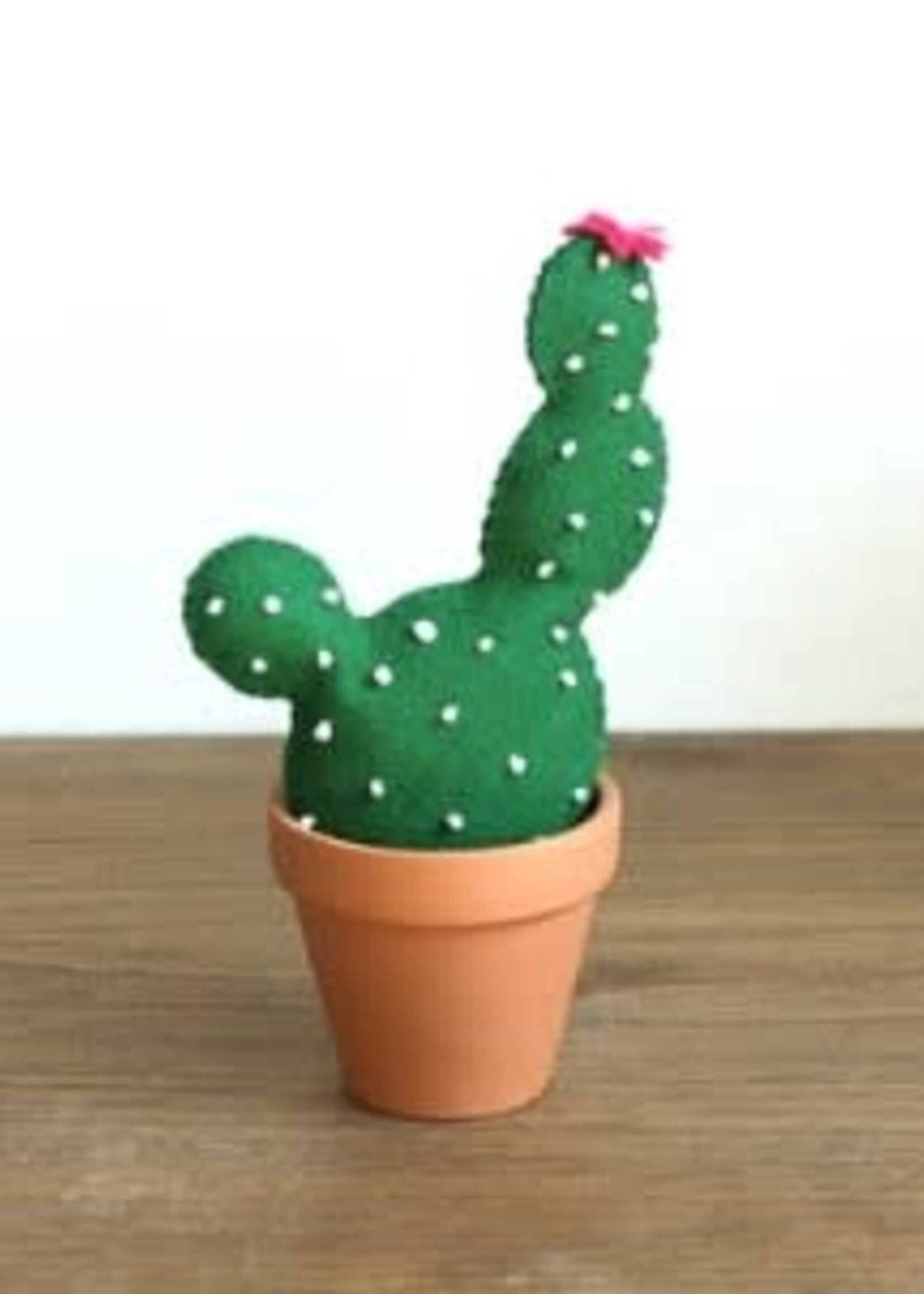 Prickly Pear Cactus Felt Hand Sewing Kit