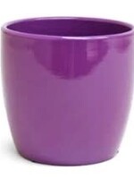 4.75" Purple Pot