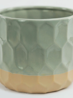 4'' Green/Beige Pot