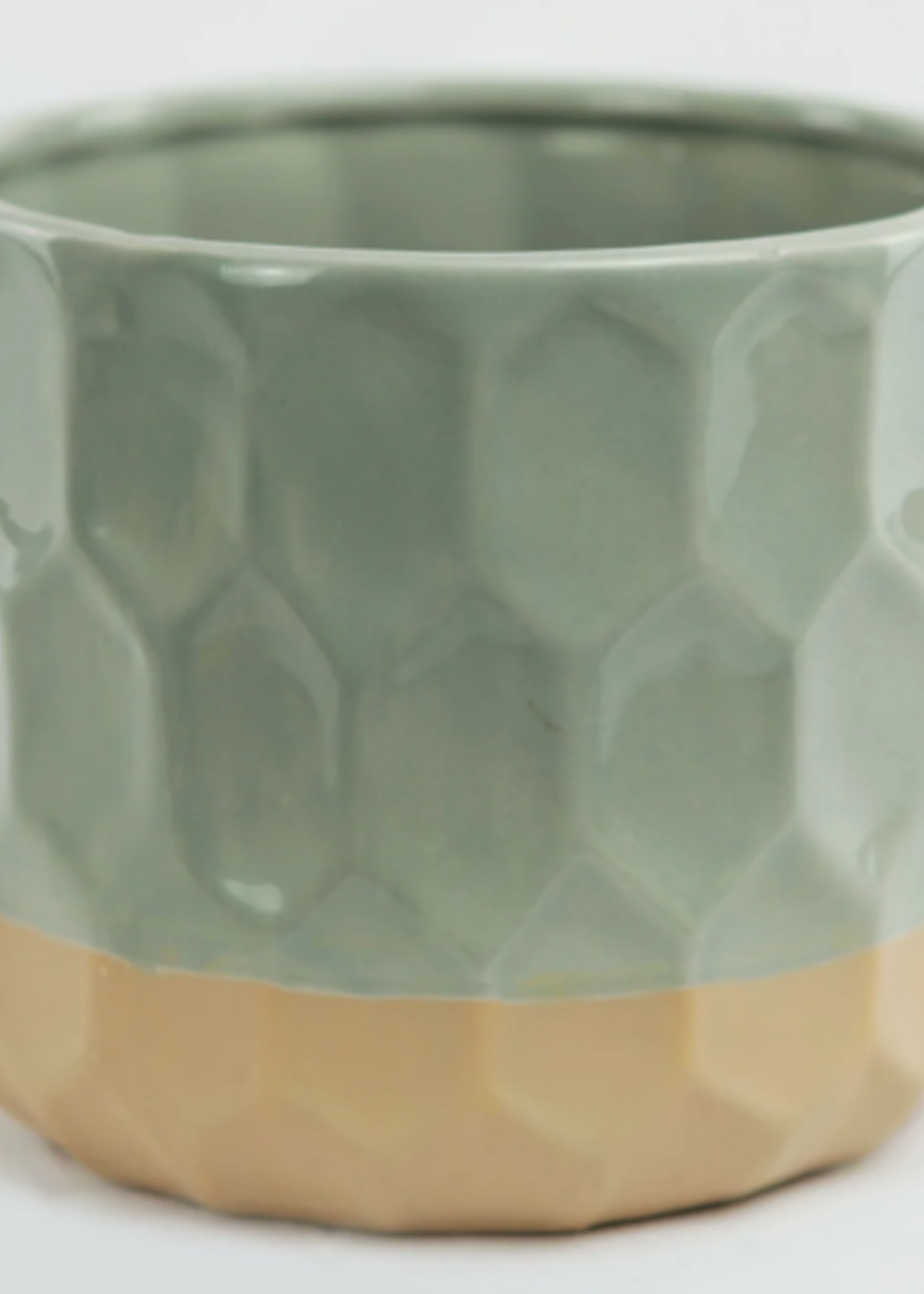 4'' Green/Beige Pot