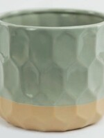 6" Green/Beige Pot