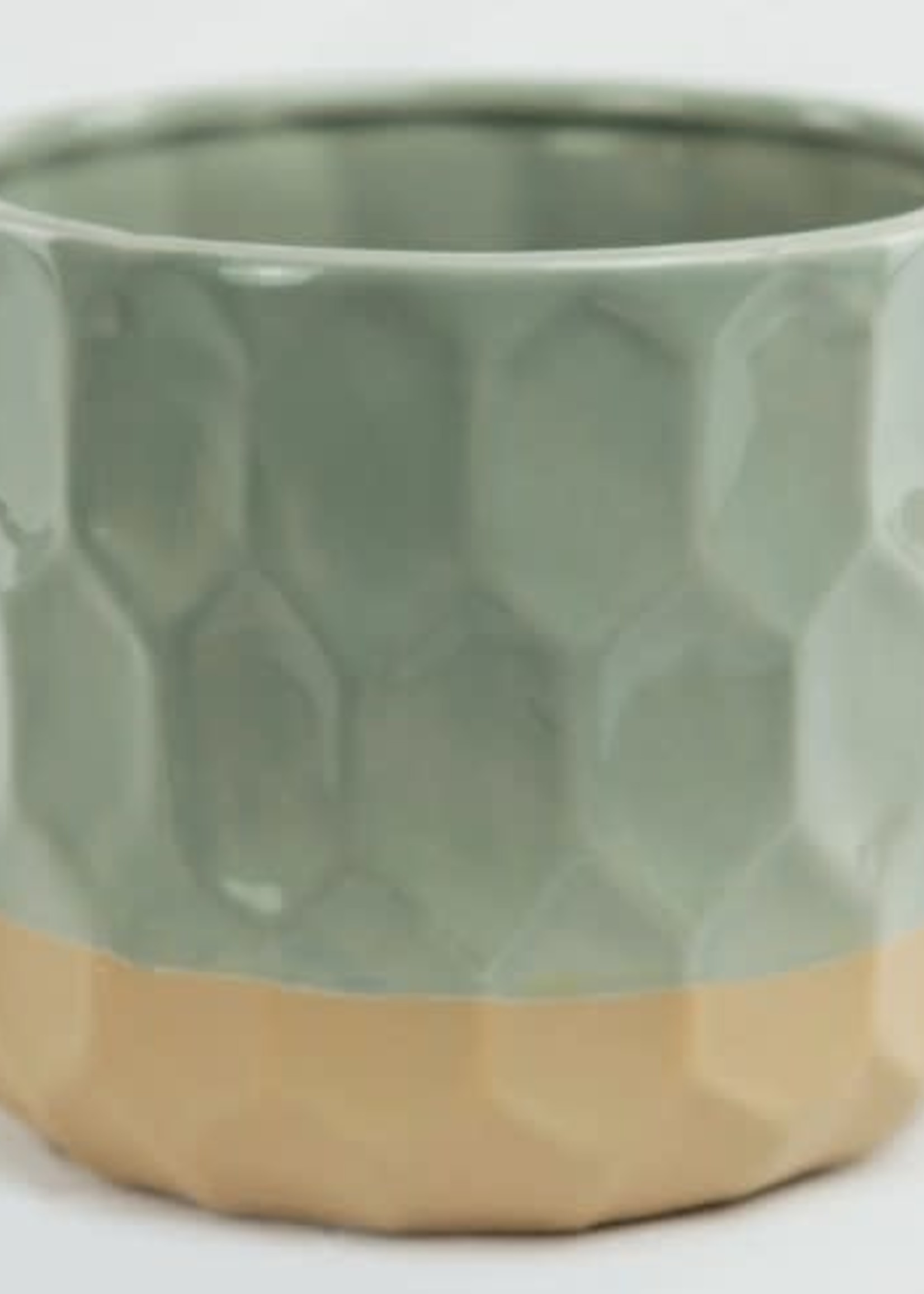 6" Green/Beige Pot
