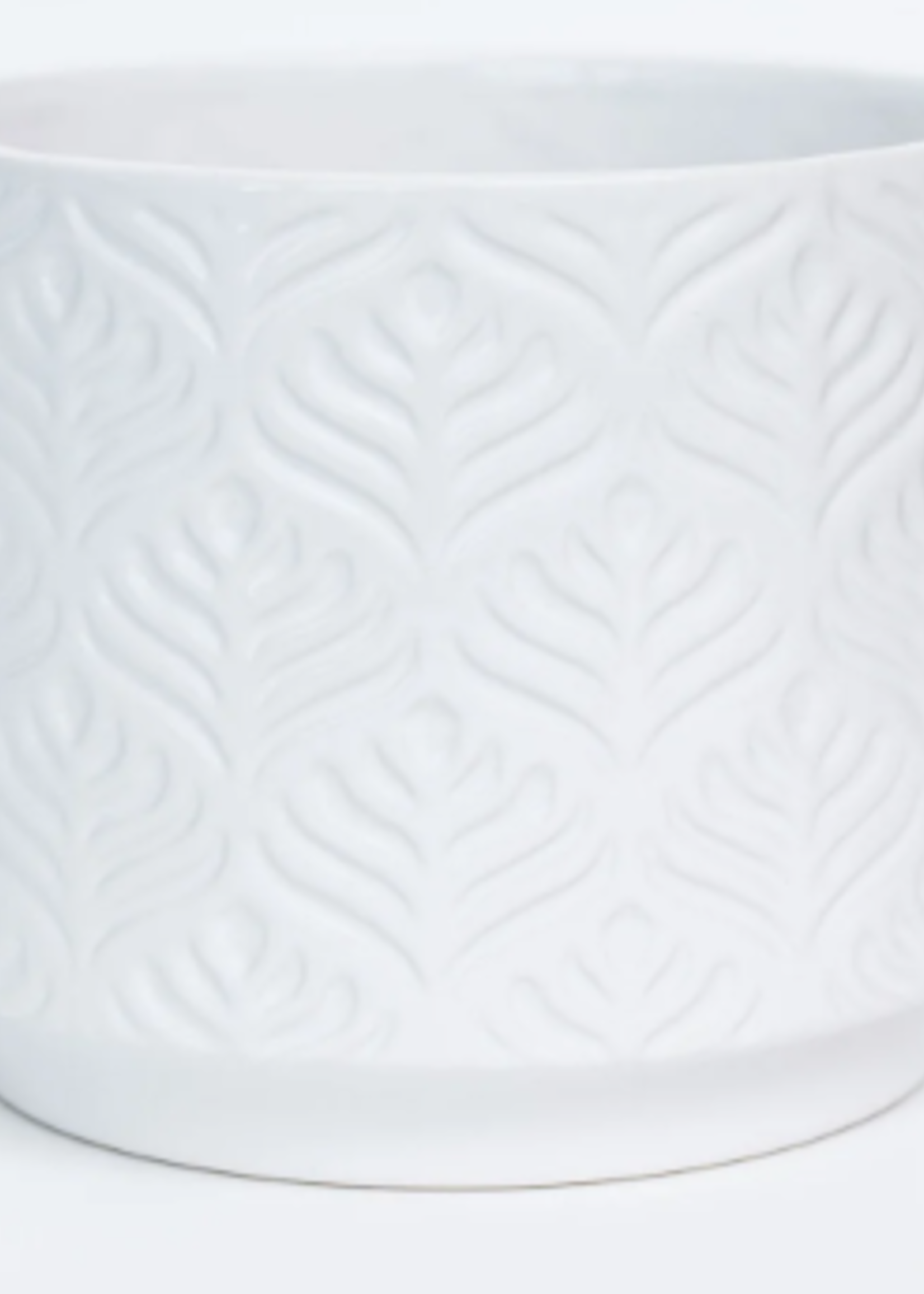 6'' White Peacock Print Pot