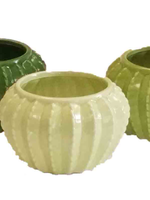 3.5'' Cactus Pot