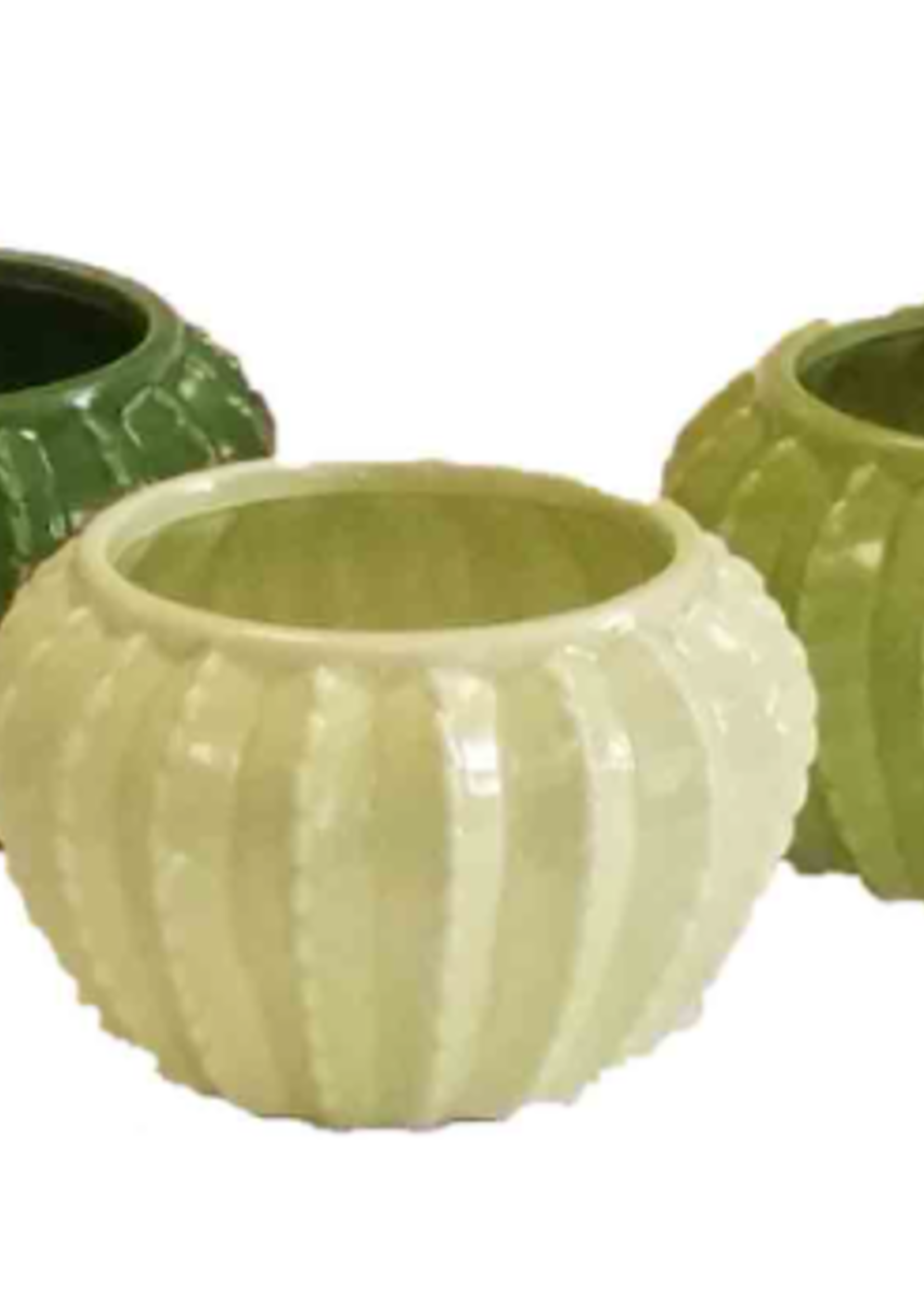 3.5'' Cactus Pot