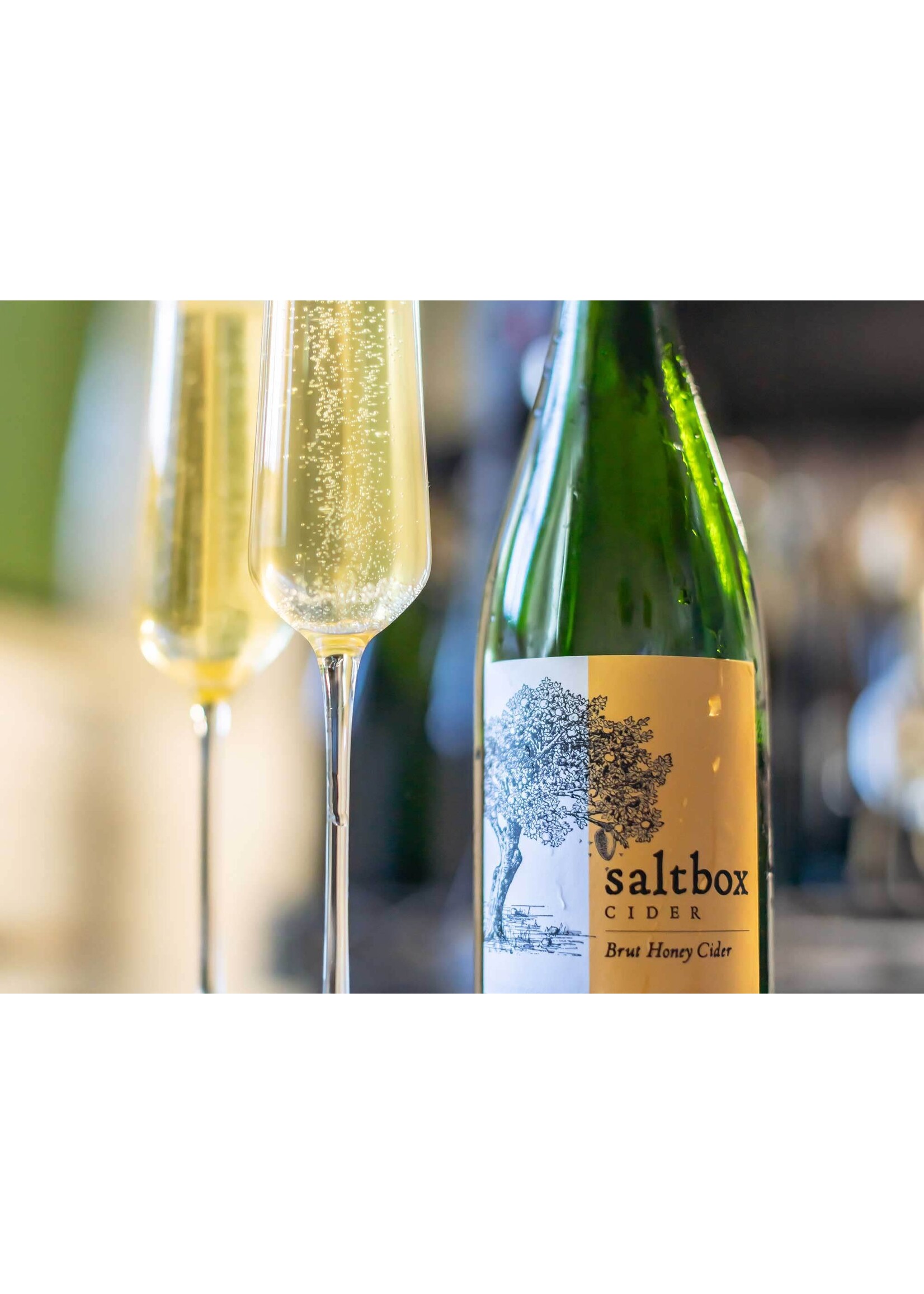 Saltbox SaltBox Cider Burt Honey Cider 750ml