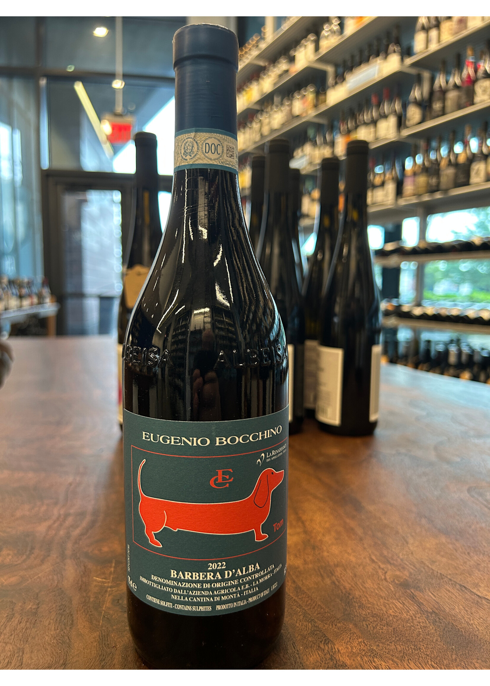 Eugenio Bocchino Eugenio Bocchino 2022 Tom Barbera D'Alba