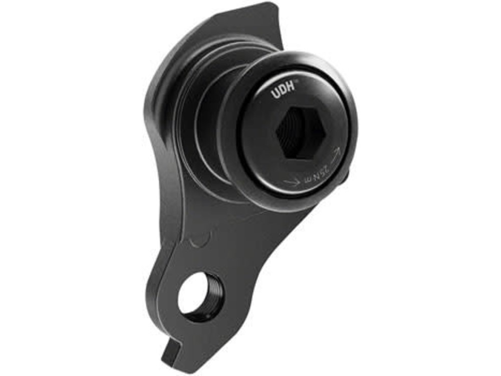 Sram SRAM Universal Derailleur Hanger (UDH) - Aluminum, Black