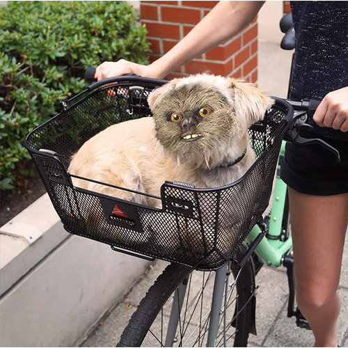 Axiom Axiom Pet Basket with Rack and Handlebar Mounts: Black Axiom Axiom Pet Basket with Rack and Handlebar Mounts: Black
