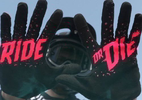 Gloves