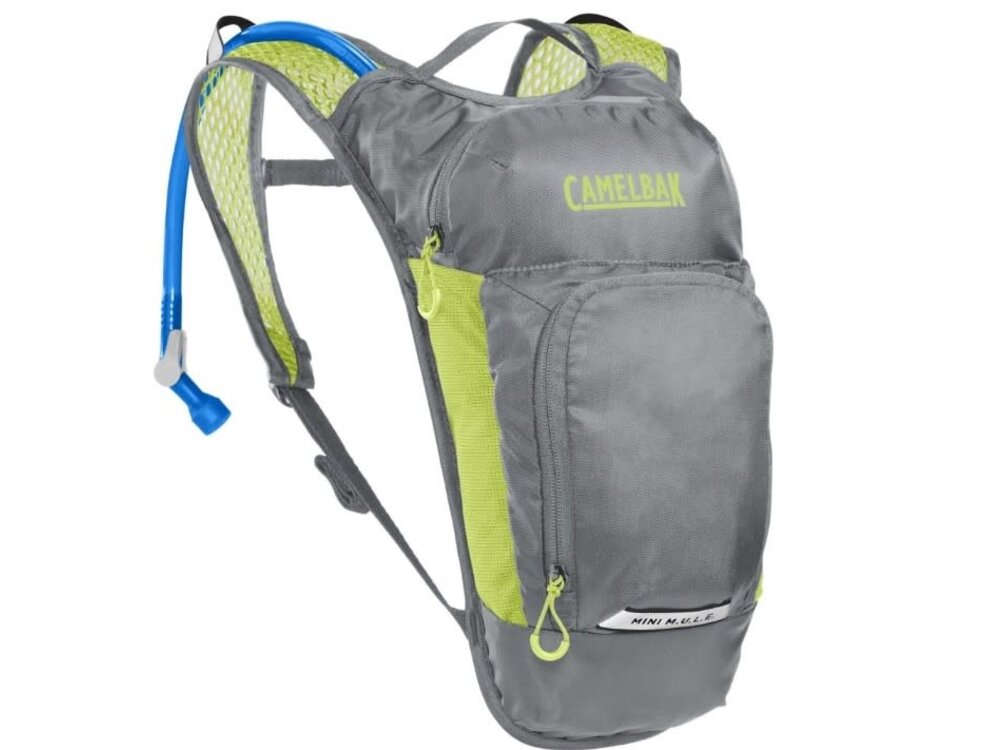 CamelBak CamelBak Mini M.U.L.E. 50oz, Metal Grey/Green